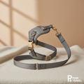 Dog Seatbelt Leash
